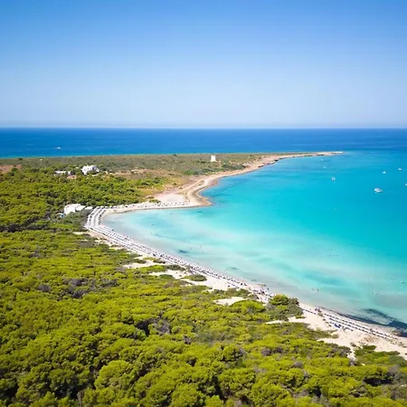 Casa Mazzini Nel Cuore Di Puglia On Line Feriehus *